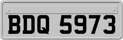 BDQ5973