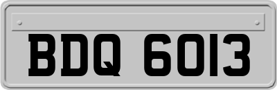 BDQ6013
