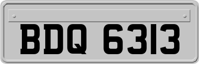 BDQ6313