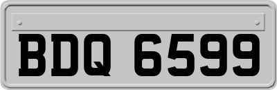 BDQ6599