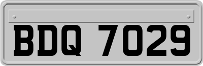 BDQ7029