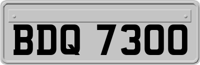 BDQ7300