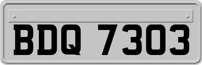 BDQ7303