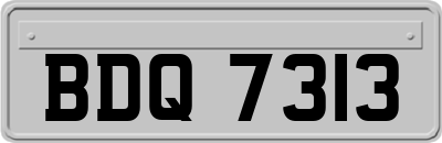 BDQ7313