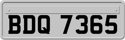 BDQ7365