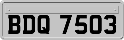 BDQ7503