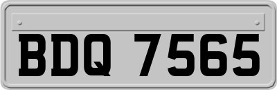 BDQ7565