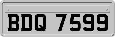 BDQ7599