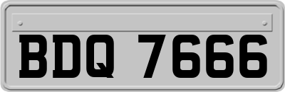BDQ7666