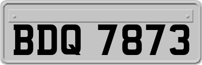 BDQ7873