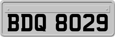 BDQ8029