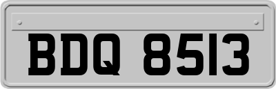 BDQ8513