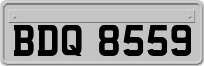 BDQ8559