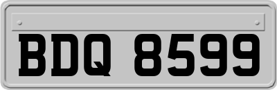 BDQ8599