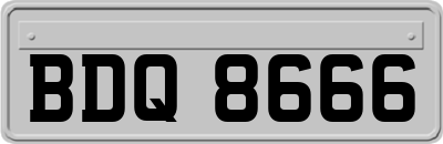 BDQ8666