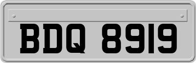 BDQ8919