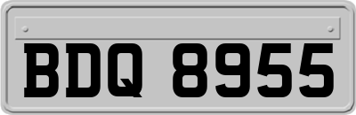 BDQ8955