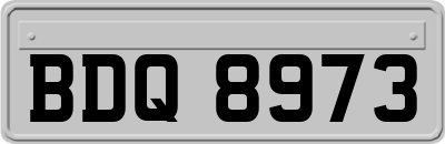 BDQ8973