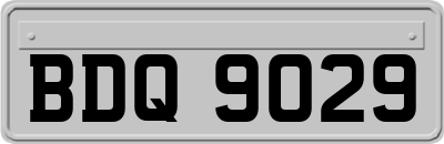 BDQ9029