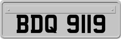 BDQ9119