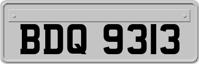BDQ9313