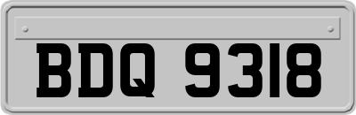 BDQ9318