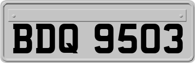 BDQ9503