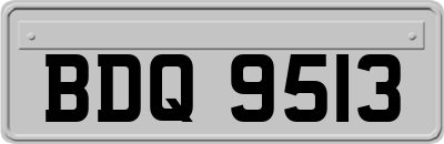 BDQ9513