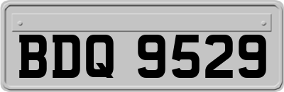 BDQ9529