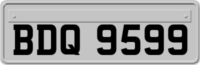 BDQ9599