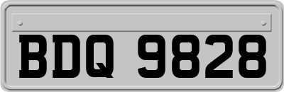BDQ9828