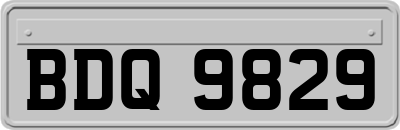 BDQ9829