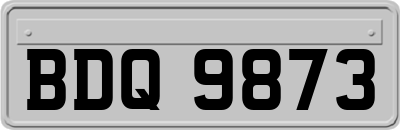 BDQ9873