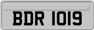 BDR1019