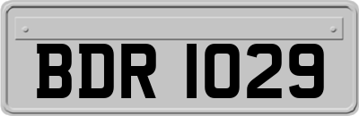 BDR1029