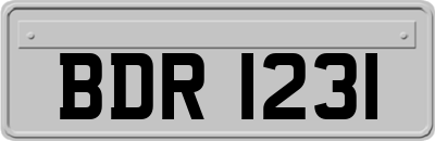 BDR1231