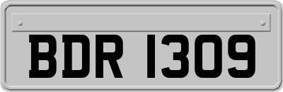BDR1309