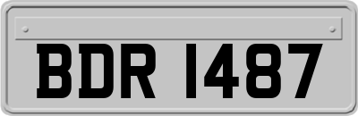 BDR1487