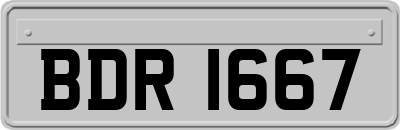 BDR1667