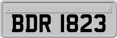 BDR1823