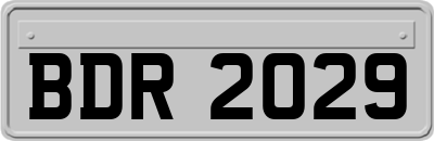BDR2029