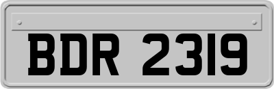 BDR2319