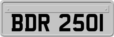 BDR2501