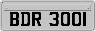 BDR3001