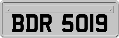 BDR5019
