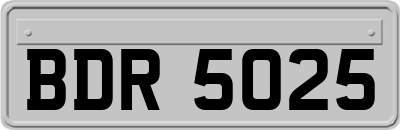BDR5025