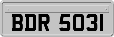BDR5031