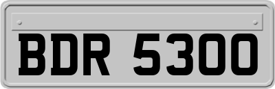 BDR5300