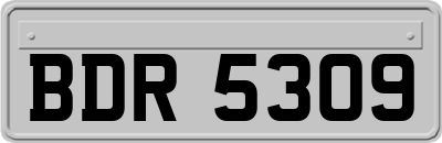 BDR5309
