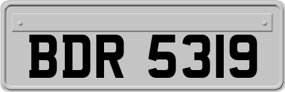 BDR5319